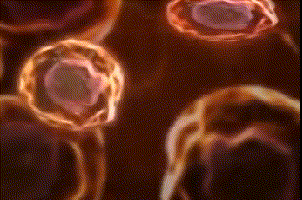 1604316572901852.gif 1568189927268379.gif